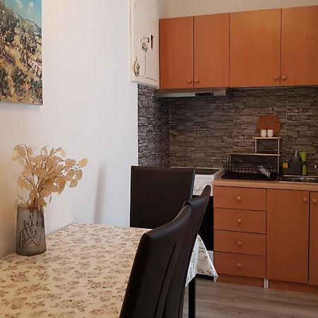 Apartman Lara Appartement Rijeka Buitenkant foto
